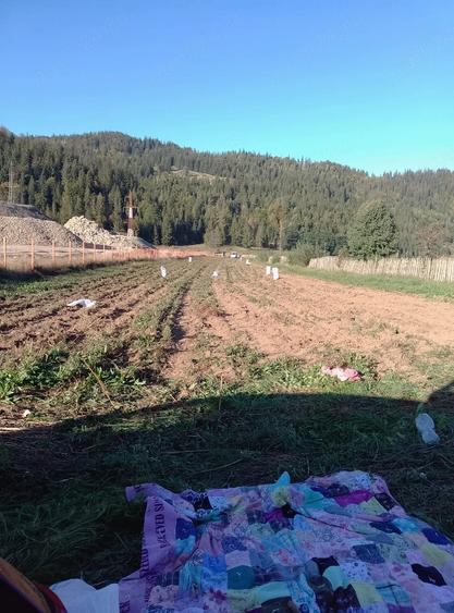 Teren de 4700 mp, în Central