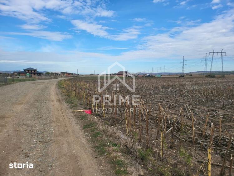 Teren de 8300 mp, în Central