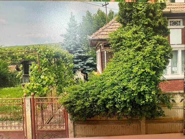 Casa de vanzare! - 1
