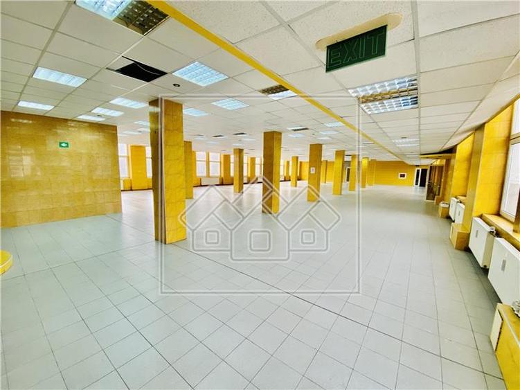 Spațiu industrial, de 1,200 mp, în Terezian