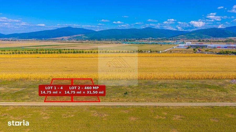Spațiu comercial, în Cărpiniș