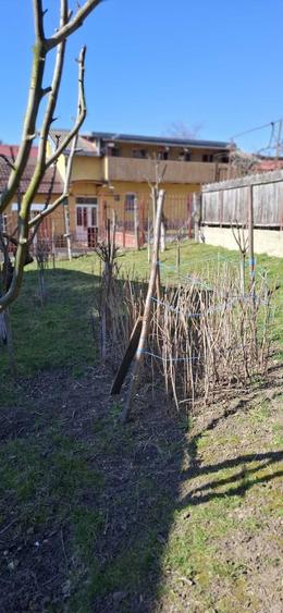 Casă cu 2 camere în Dâmbul Rotund