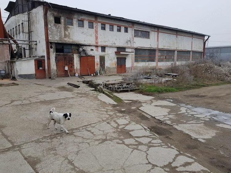 Teren de 17564 mp, în Berzovia