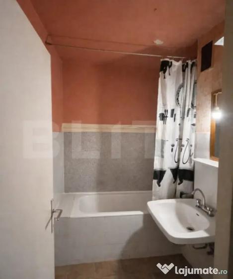 Apartament ideal pentru renovare, vedere la Bega, 2 camere - 4