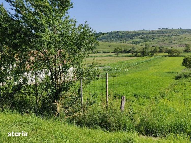 Teren de vanzare Merghindeal, judetul Sibiu