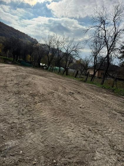 Teren de 8000 mp, în Păuliș
