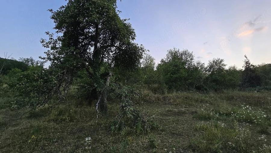 Casă cu 2 camere cu Teren 2563 Mp în Boiu