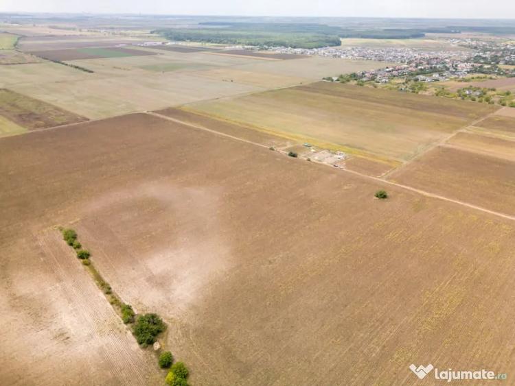 DASCALU TEREN INTRAVILAN 11300 MP, INVESTITIE! - Dascalu (Bucuresti-Ilfov) - 3
