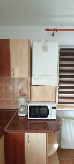 Apartament cu 2 camere decomandat, mobilat în Turnișor