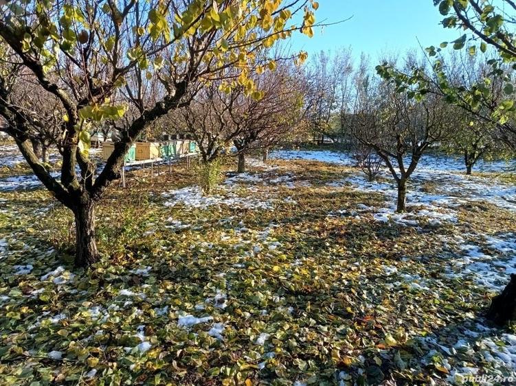 Teren de 4400 mp, în Ceacu