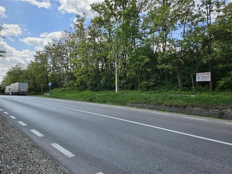 Teren intravilan de 2500 mp, în Drăgușeni