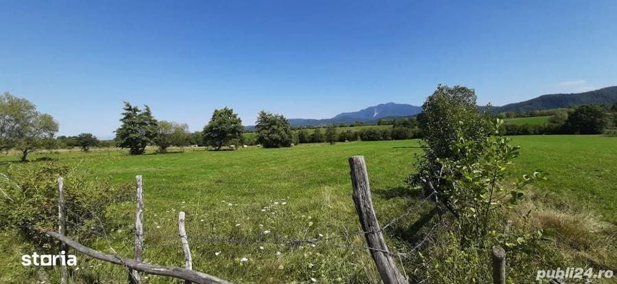 Teren 9350 mp Bran Livada, Extravilan - 1