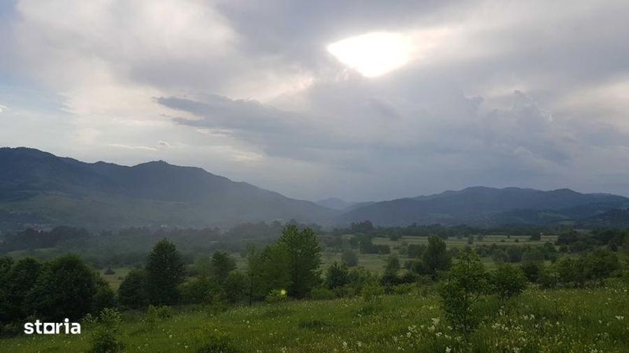 Teren de 13000 mp, în Asău