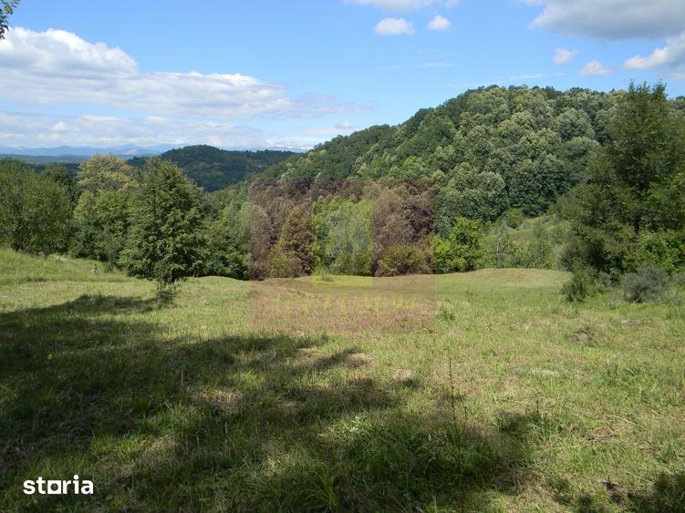 Teren de 3092 mp, în Scorțeni