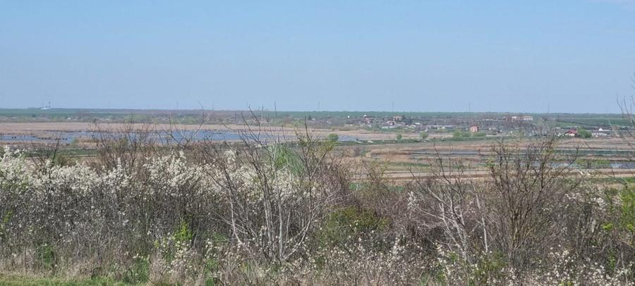 Teren Construcții intravilan de 4300 mp, în Comana