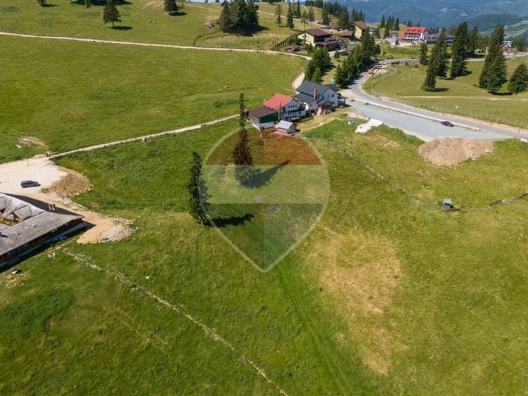 Teren agricol extravilan de 52519 mp, în Dâmbovicioara