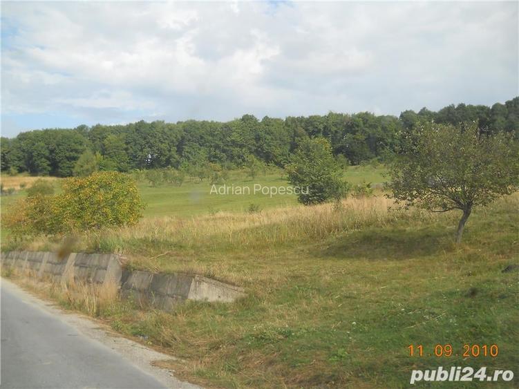 Teren de 55000 mp, în Slănic