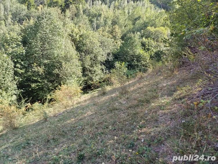 Teren de 3000 mp, în Măguri