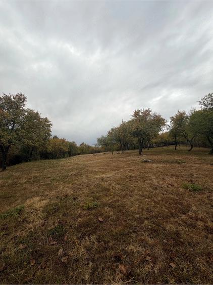Teren de 2614 mp, în Sohodol