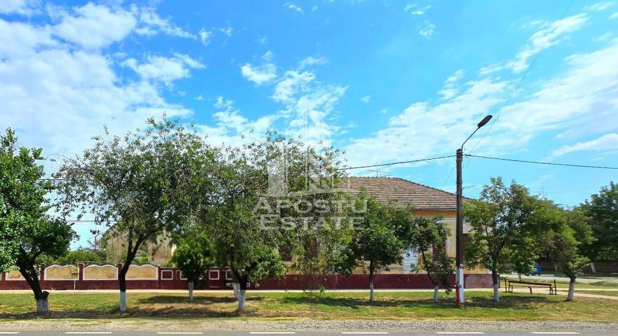Casa 6 camere, Sandra, Teren 2217 mp - 3