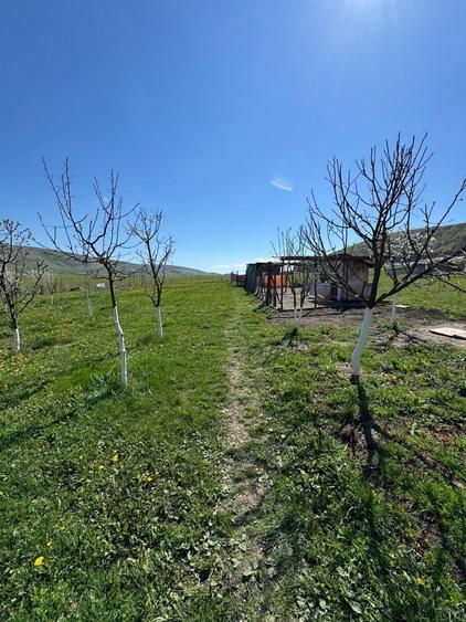 Casă cu 3 camere în Nord