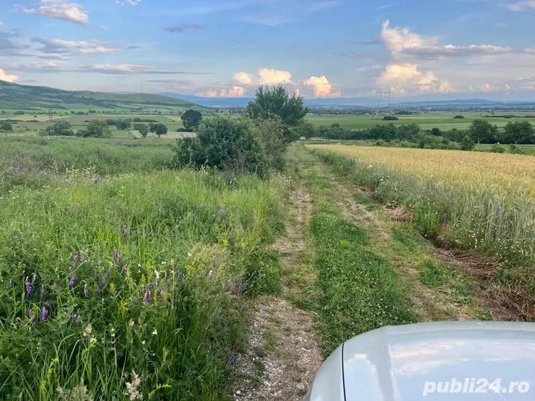 Teren de 16500 mp, în Bârsău