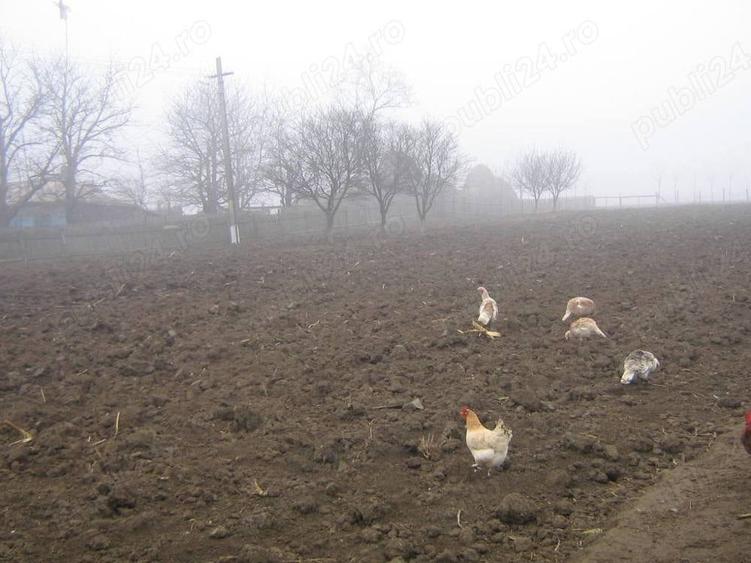 Casă cu 3 camere în Socrujeni