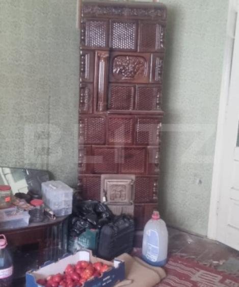 CASA CU 2 CAMERE CURTE SI GRADINA - 3