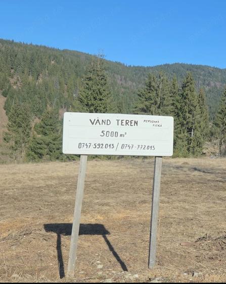 Teren de 5000 mp, în Ortoaia