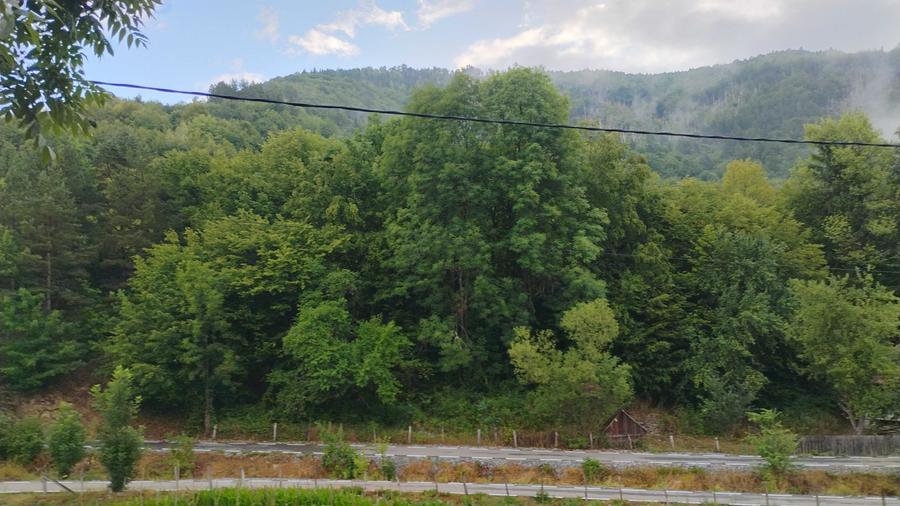 Casă cu 3 camere în Mănăstire