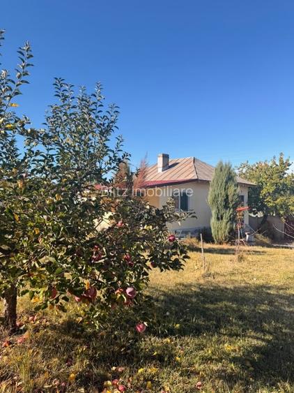 Casă de vânzare, 84 mp, zona Centrală - Dobrețu
