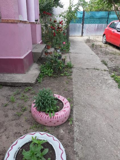 Casă cu 2 camere cu Teren 2930 Mp în Valea Stanciului