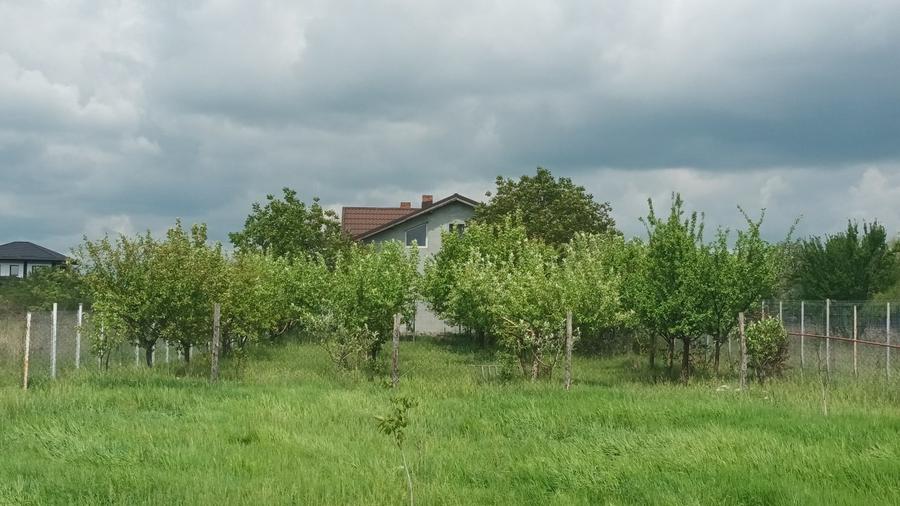 Casă individuală cu 3 camere cu Teren 4250 Mp în Moara Vlăsiei