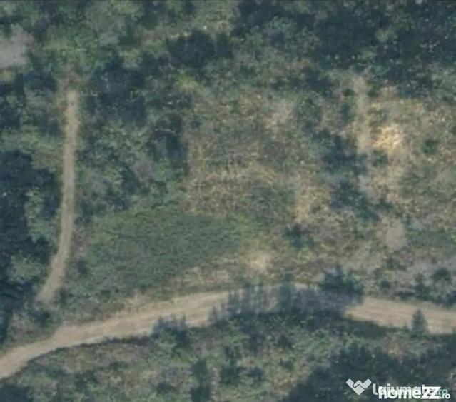 Teren de 6200 mp, în Tăuții-Măgherăuș