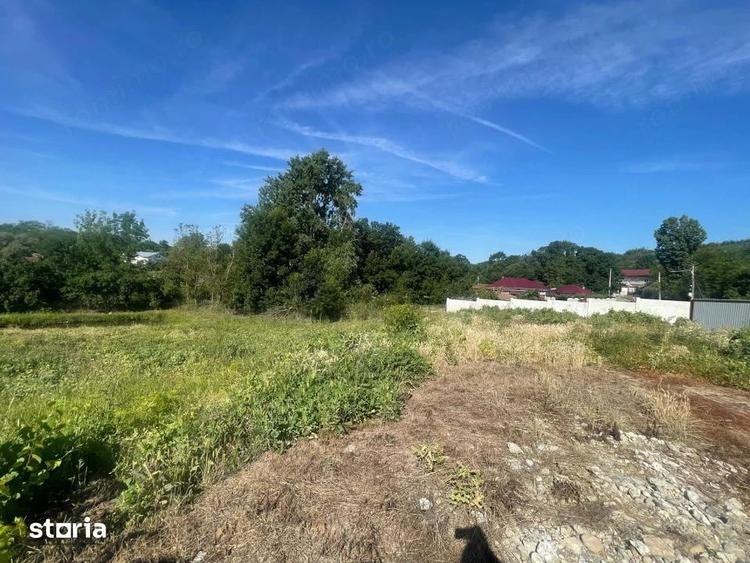 Casă cu Teren 1500 Mp în Băleasa