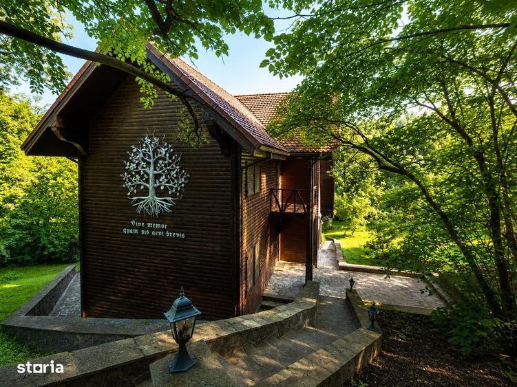 Mountain Chalet | Private Resort | Investment - Nistoresti - 19