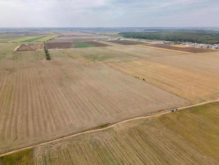 Teren Construcții intravilan de 7500 mp, în Dascălu