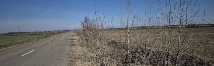 Teren de 36800 mp, în Scutelnici