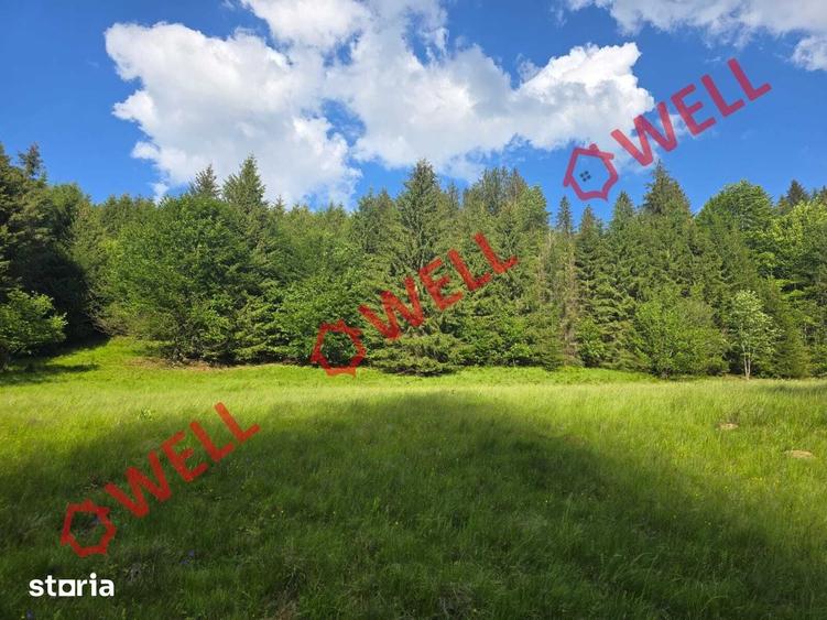 Teren de 57000 mp, în Vama Buzăului