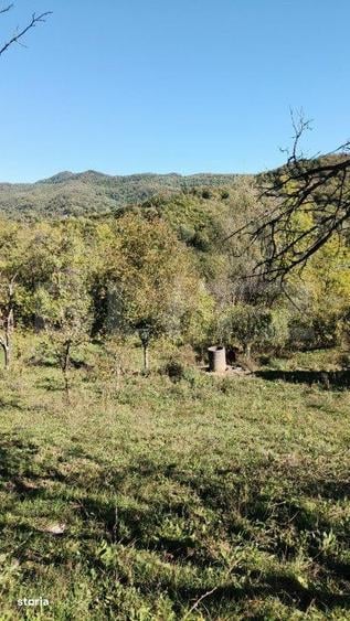 Teren cu priveliste superba , livada si potential casute de vacanta - 2