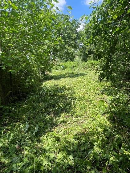 Teren Construcții intravilan de 1000 mp, în Frumușani