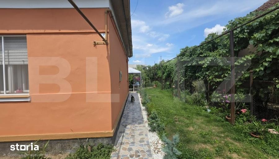 Casă cu 3 camere cu Teren 561 Mp în Bercu Roșu