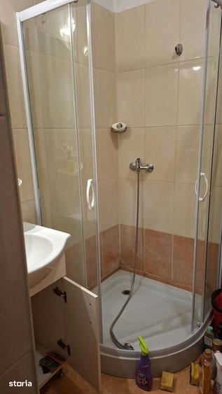 Apartament 2 camere, mobilat, Mosilor zona case-vile - 2
