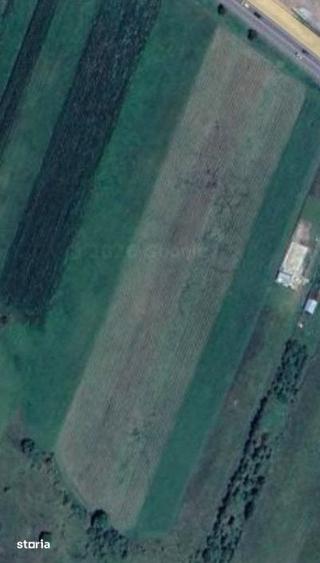 Teren intravilan, 5100 mp, toate utilitatile trase la parcela, Mera - 2
