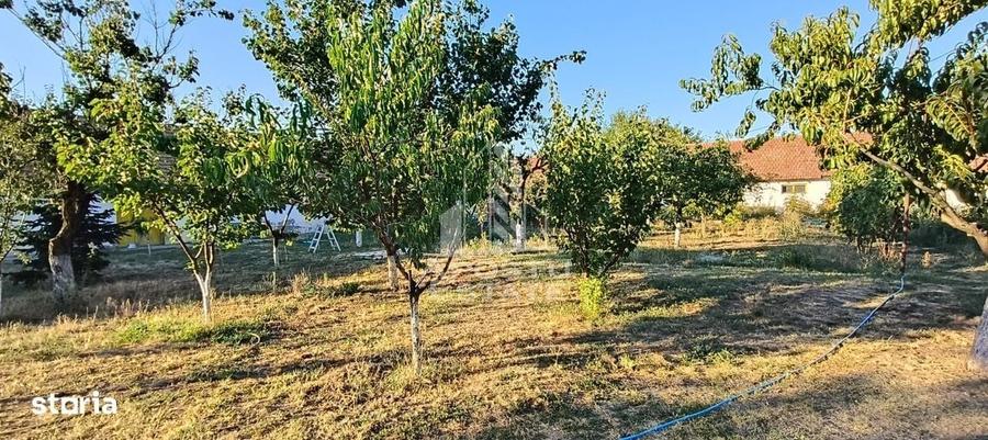 Casă cu 4 camere cu Teren 3250 Mp în Bucovăț