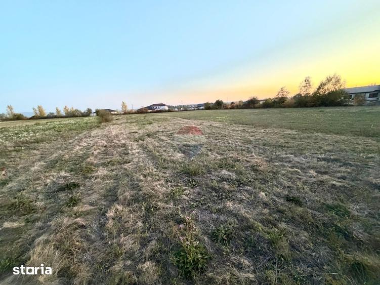 Teren de 1500 mp, în Coltău