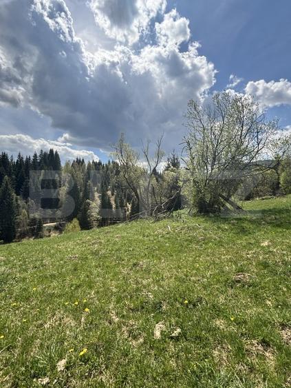 Teren Construcții intravilan de 8450 mp, în Exterior Vest