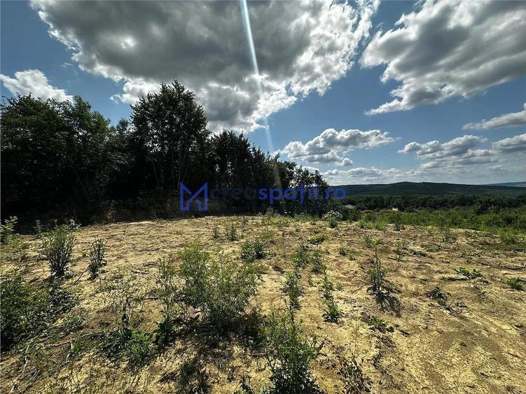 Teren de 874 mp, în Bârnova