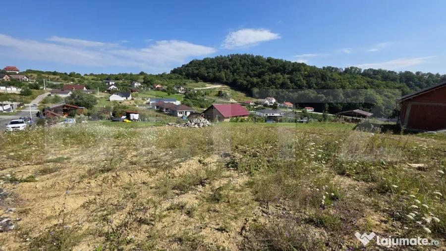 Teren extravilan, cu autorizatie de constructie casa, 875 mp - 6