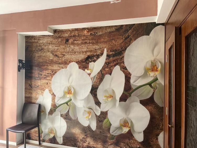 Apartament cu 2 camere semidecomandat, mobilat în Universitate